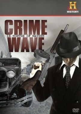 Crime Wave: 18 Months of Mayhem