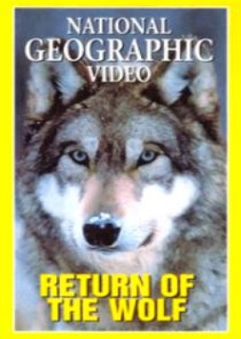 National Geographic: Возвращение волка