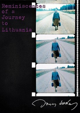 Воспоминания о поездке в Литву