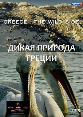 Дикая природа Греции