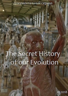 Тайная история человеческой эволюции