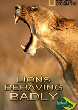National Geographic: Львы-хулиганы