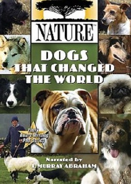 PBS Nаture. Собаки, которые изменили мир