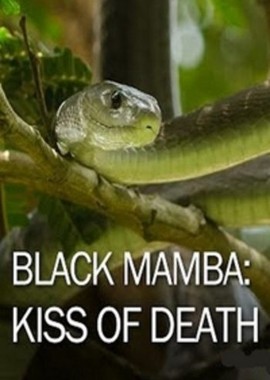Черная мамба: поцелуй смерти