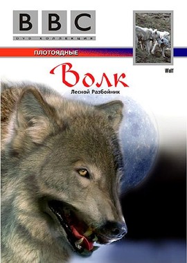 BBC: Жизнь животных: Волк
