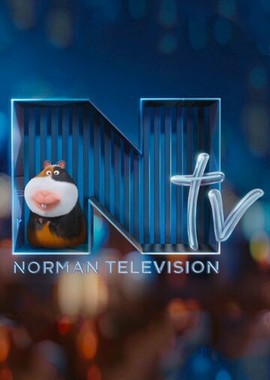 Телевидение Нормана