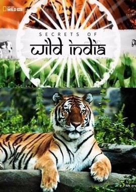 Тайны дикой природы Индии: Хищники джунглей