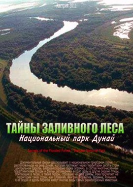 Тайны заливного леса – национальный парк Дунай