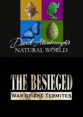 BBC: Наедине с природой: В осаде-война термитов