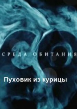 Среда обитания.Пуховик из курицы