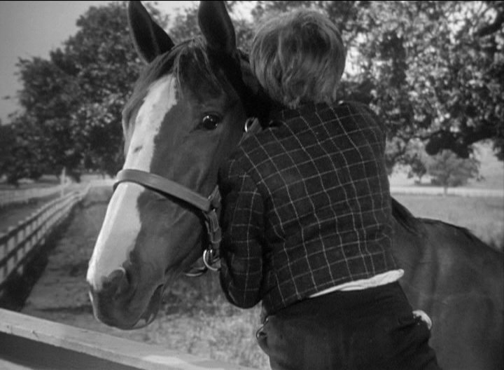 My brother talk to tom. Лошади 1947. Мой брат разговаривает с лошадьми 1947.