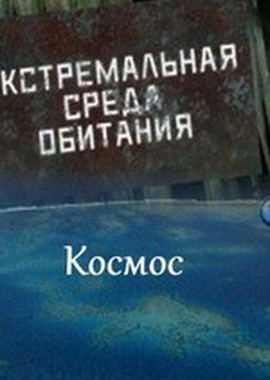 Экстремальная среда обитания. Космос