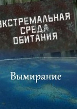Экстремальная среда обитания. Вымирание