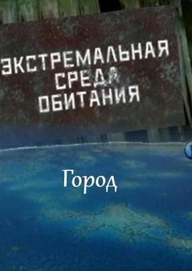 Экстремальная среда обитания. Город